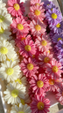 IMG_4470.webp